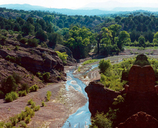 USA-New Mexico-Gila Cattle Round Up